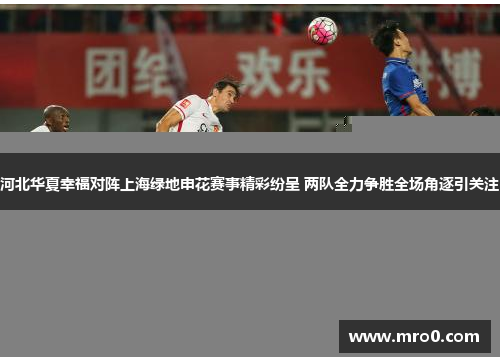 河北华夏幸福对阵上海绿地申花赛事精彩纷呈 两队全力争胜全场角逐引关注