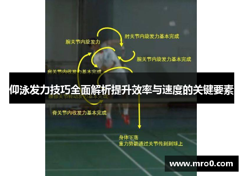 仰泳发力技巧全面解析提升效率与速度的关键要素