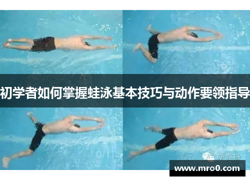 初学者如何掌握蛙泳基本技巧与动作要领指导