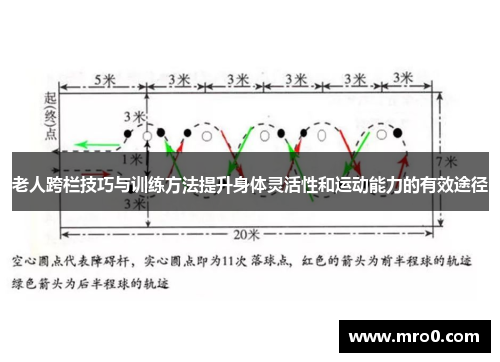 老人跨栏技巧与训练方法提升身体灵活性和运动能力的有效途径