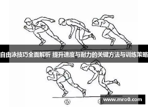 自由泳技巧全面解析 提升速度与耐力的关键方法与训练策略