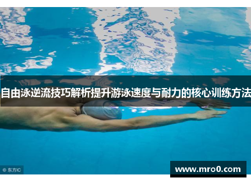 自由泳逆流技巧解析提升游泳速度与耐力的核心训练方法