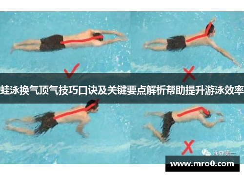 蛙泳换气顶气技巧口诀及关键要点解析帮助提升游泳效率