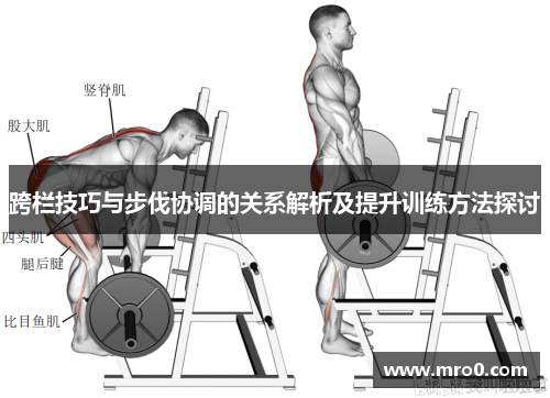 跨栏技巧与步伐协调的关系解析及提升训练方法探讨