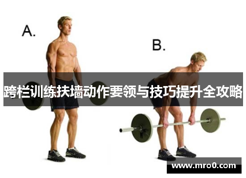 跨栏训练扶墙动作要领与技巧提升全攻略